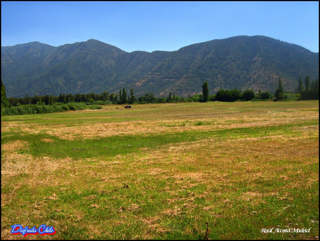 Foto de Lo Miranda, Chile