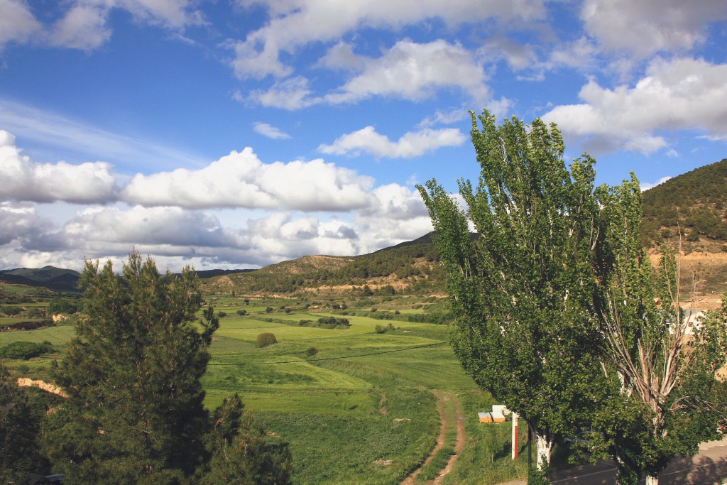 Foto: Vistas desde el pueblo - Castiliscar (Zaragoza), España