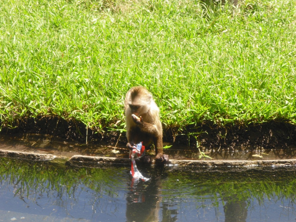 Foto: Con la galleta - Parque Del Este (Distrito Capital), Venezuela