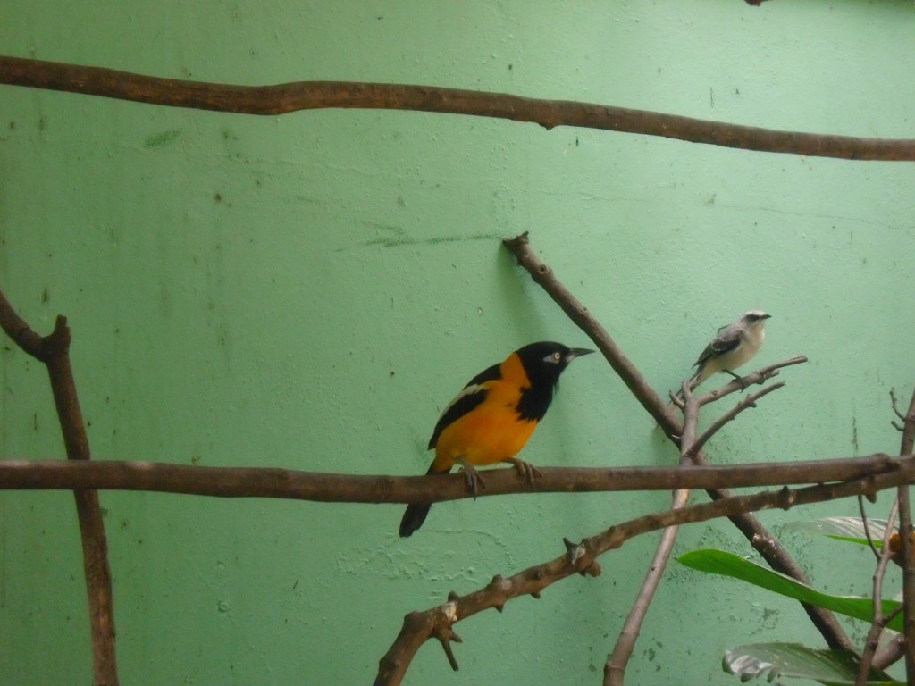 Foto de Parque Del Este (Distrito Capital), Venezuela