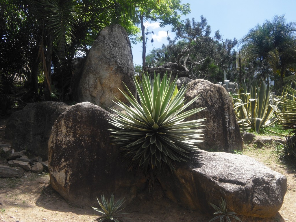 Foto de Parque Del Este (Distrito Capital), Venezuela