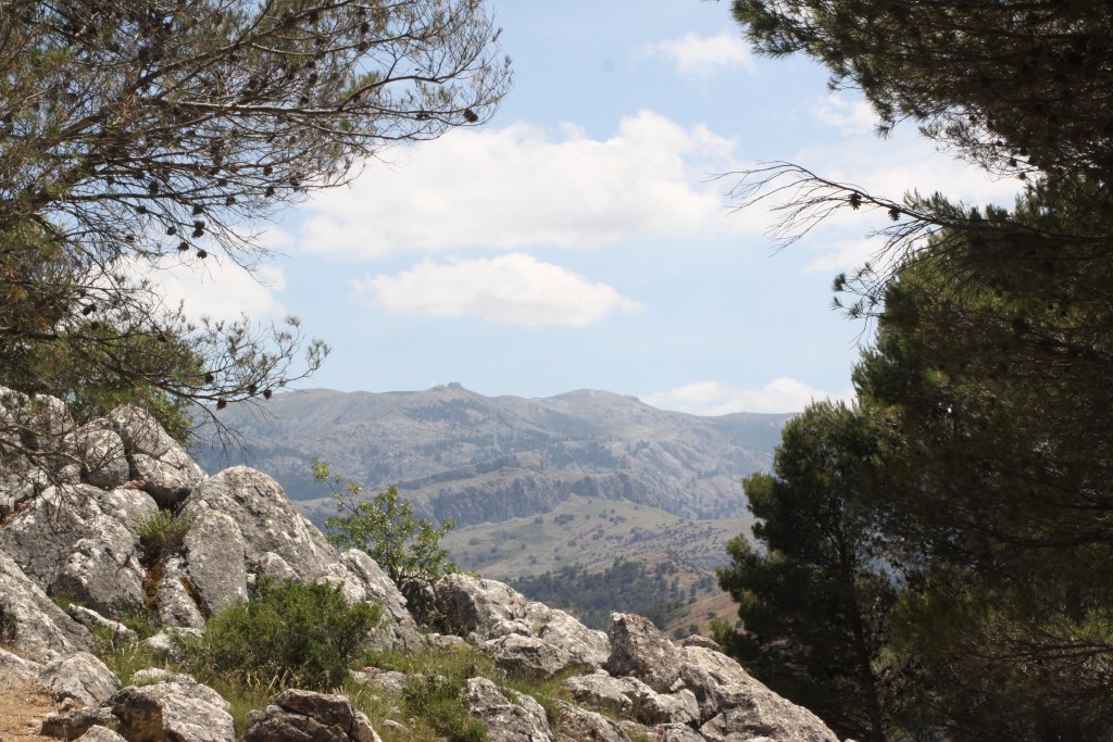 Foto de El Burgo (Málaga), España