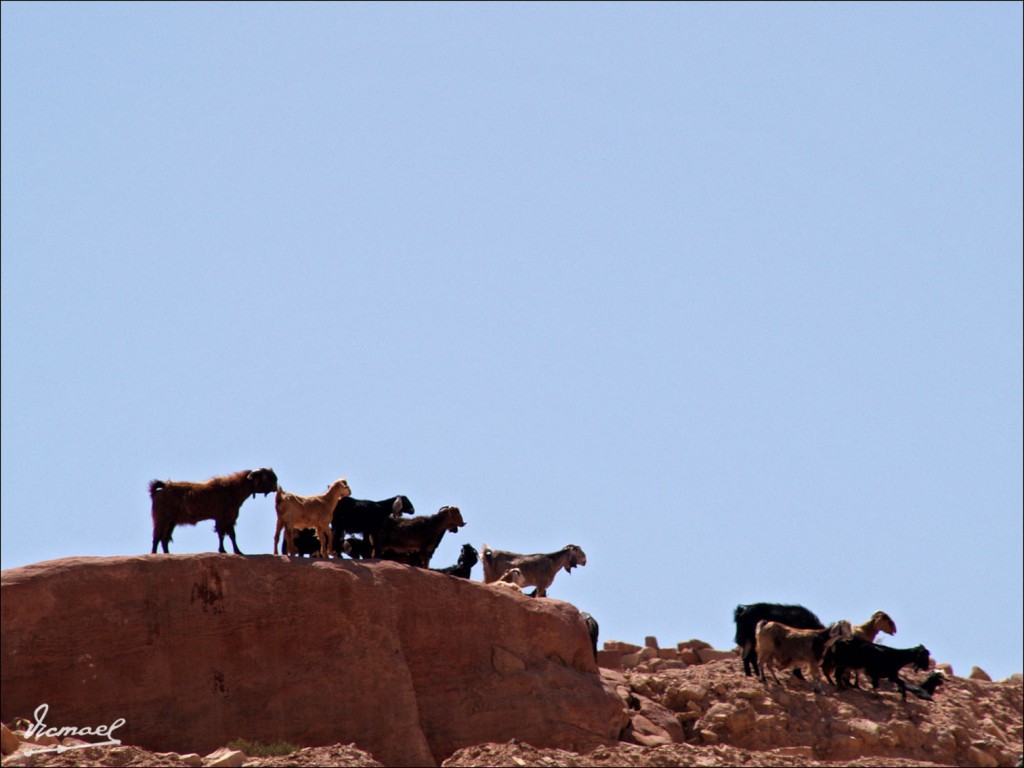 Foto de Petra, Jordania