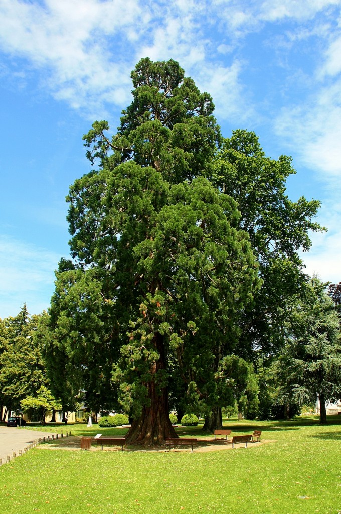 Foto: Jardines des Vignaux - Bagnères de Bigorre (Midi-Pyrénées), Francia