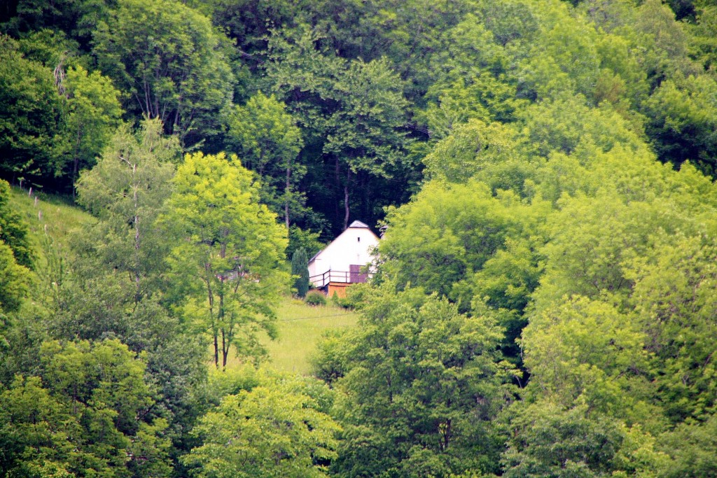 Foto: Casa oculta en el bosque - Cauterets (Midi-Pyrénées), Francia