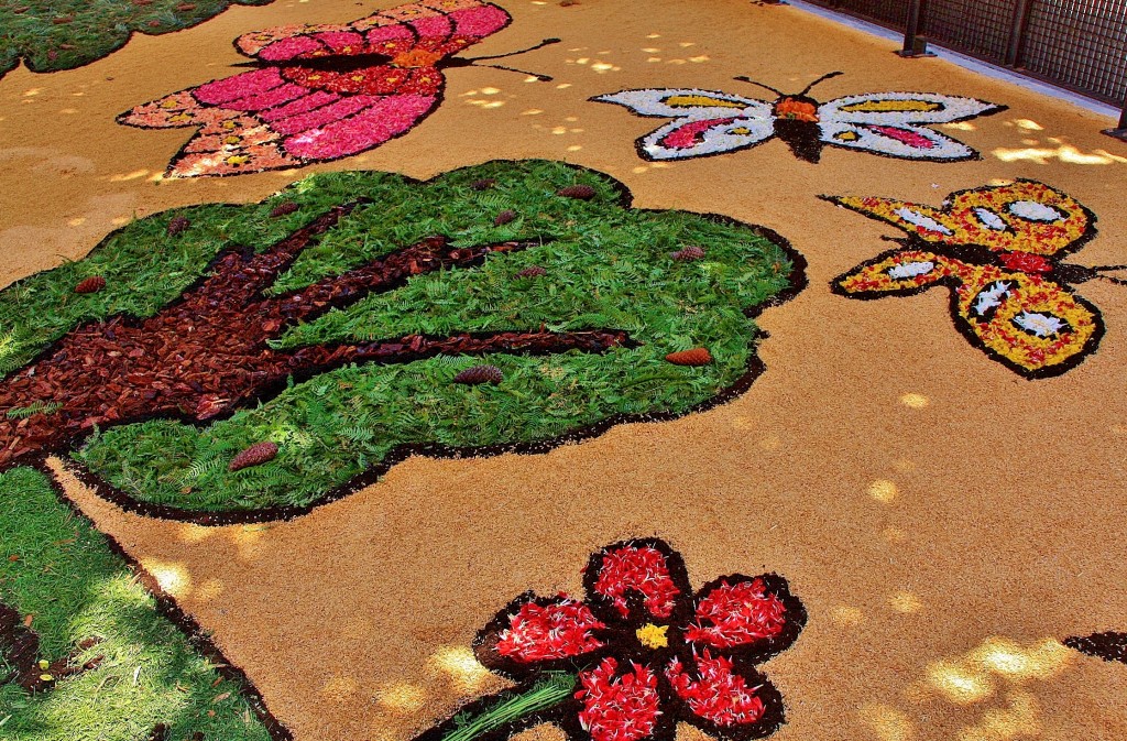 Foto: Alfombras de flores - Arbúcies (Girona), España