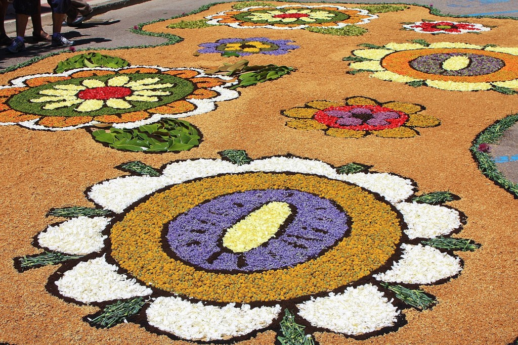 Foto: Alfombras de flores - Arbúcies (Girona), España