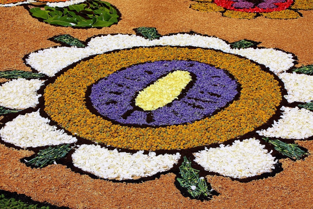 Foto: Alfombras de flores - Arbúcies (Girona), España