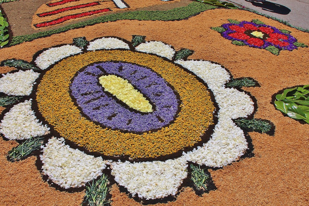 Foto: Alfombras de flores - Arbúcies (Girona), España