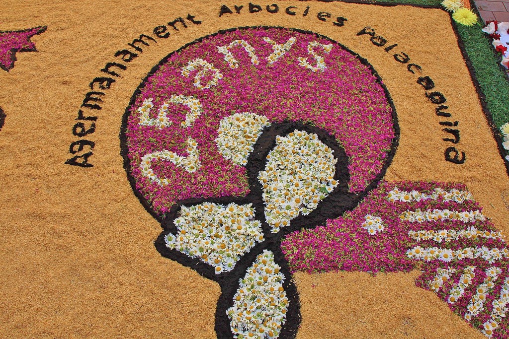 Foto: Alfombras de flores - Arbúcies (Girona), España