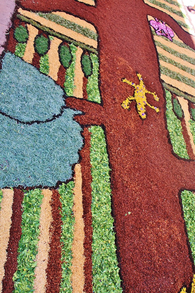 Foto: Alfombras de flores - Arbúcies (Girona), España