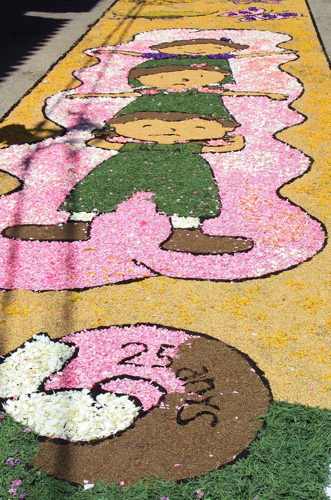 Foto: Alfombras de flores - Arbúcies (Girona), España