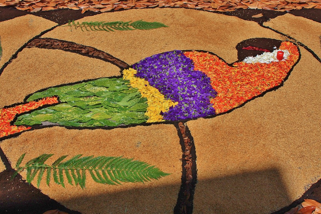 Foto: Alfombras de flores - Arbúcies (Girona), España