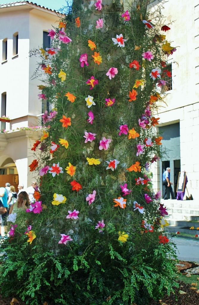 Foto: Arbol con flores - Arbúcies (Girona), España