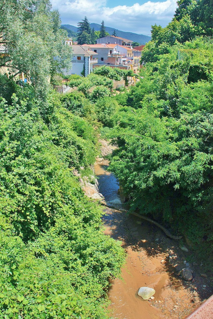 Foto: Riera de Palau - Arbúcies (Girona), España