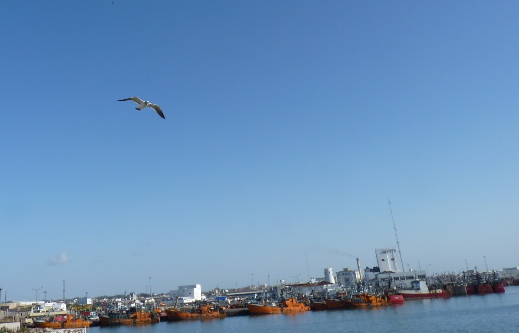 Foto: Puerto - Mar del Plata (Buenos Aires), Argentina