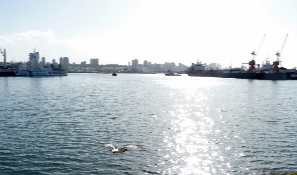 Foto: Puerto - Mar del Plata (Buenos Aires), Argentina