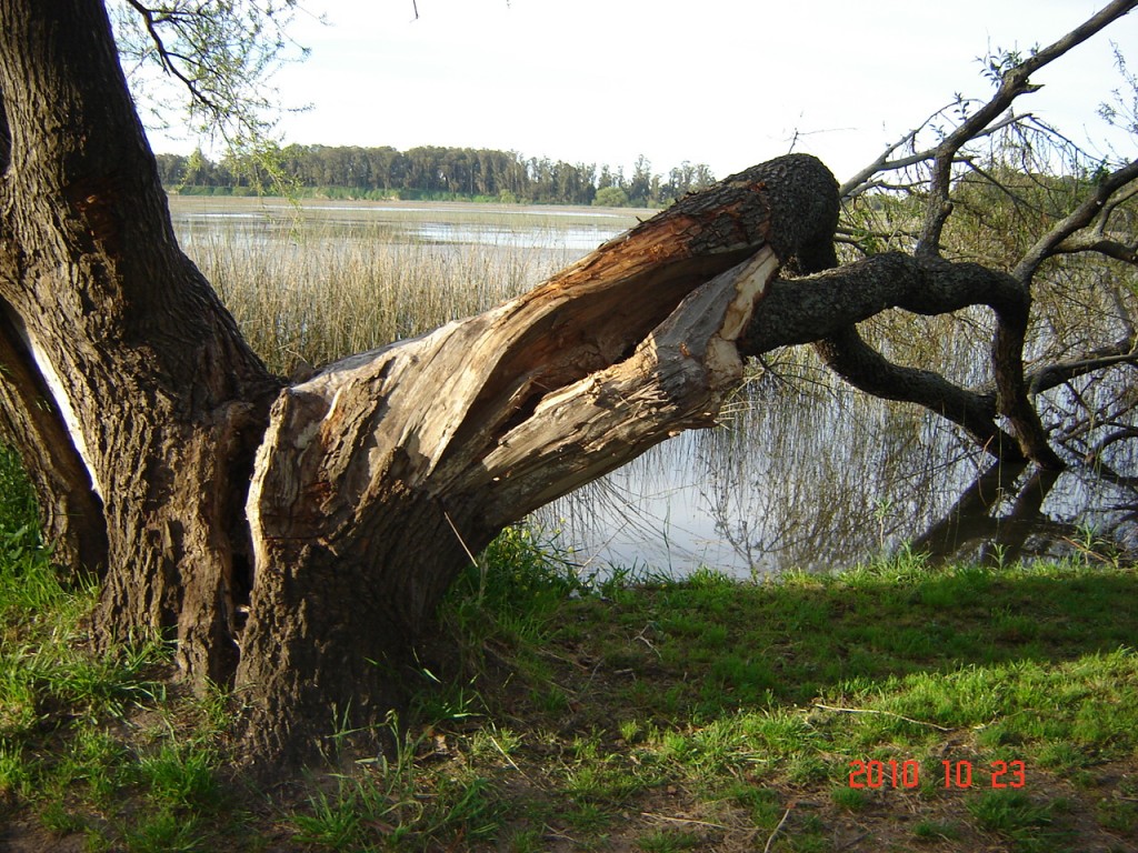 Foto de Laguna de los Padres (Buenos Aires), Argentina