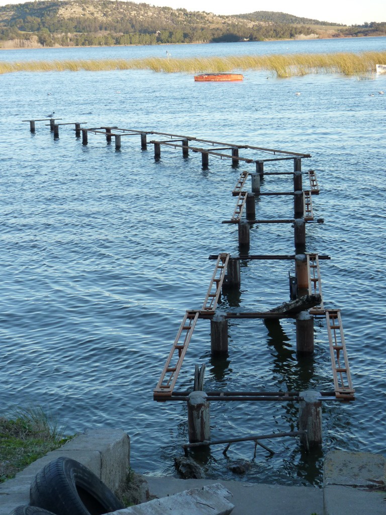 Foto de Laguna La Brava (Buenos Aires), Argentina