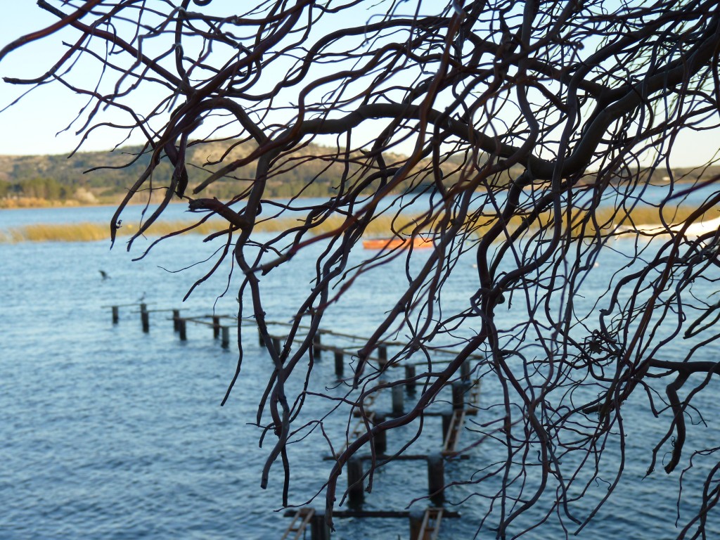 Foto de Laguna La Brava (Buenos Aires), Argentina