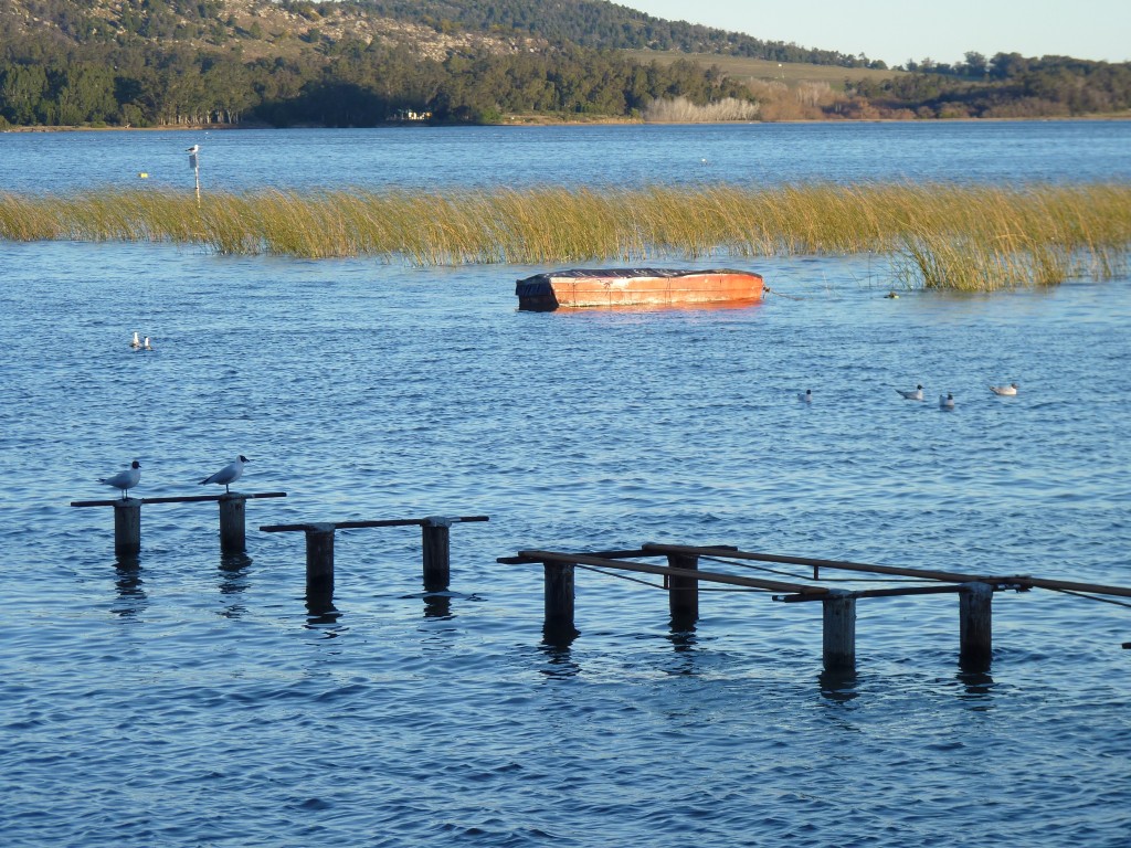 Foto de Laguna La Brava (Buenos Aires), Argentina