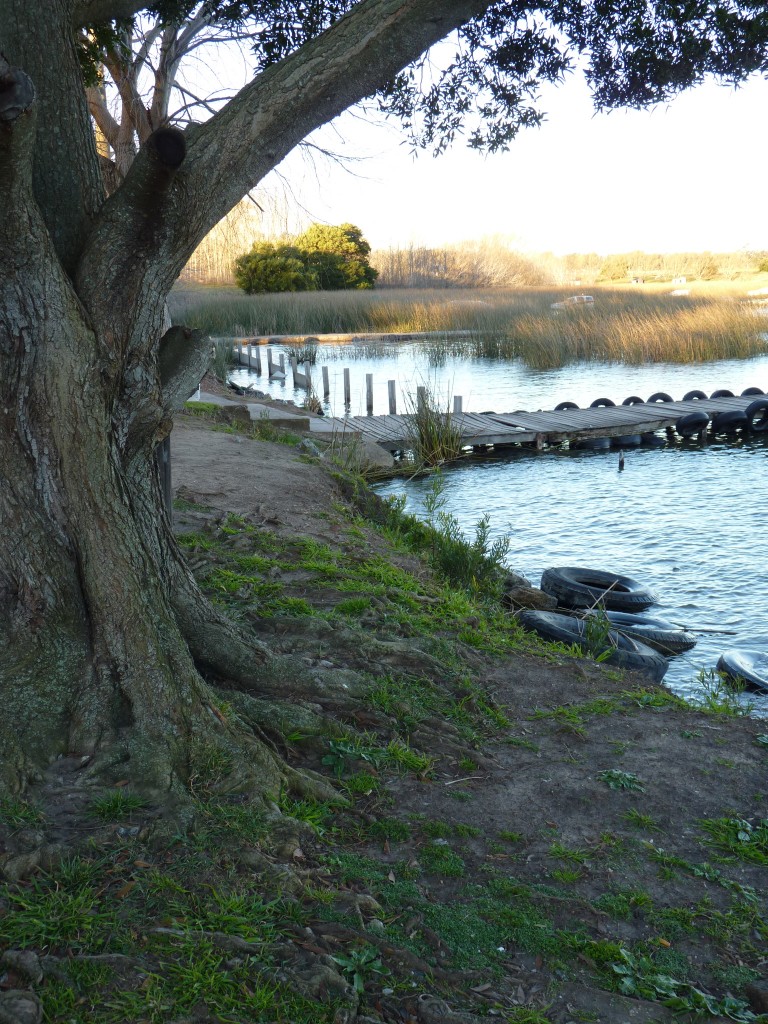 Foto de Laguna La Brava (Buenos Aires), Argentina