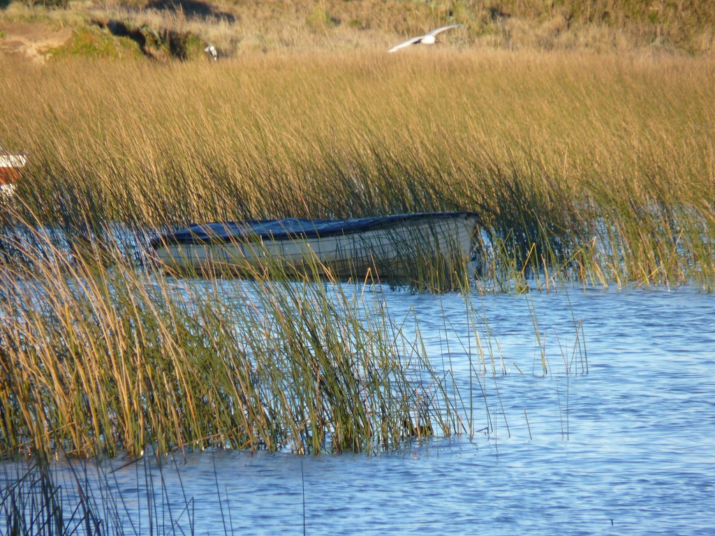 Foto de Laguna La Brava (Buenos Aires), Argentina