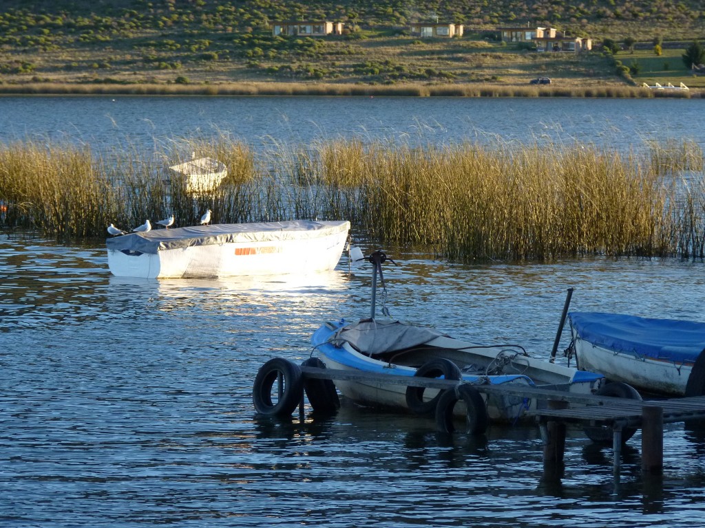 Foto de Laguna La Brava (Buenos Aires), Argentina