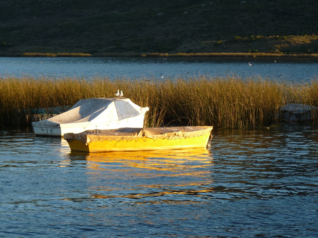 Foto de Laguna La Brava (Buenos Aires), Argentina