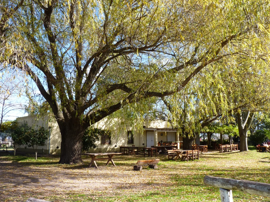 Foto: Casa de campo - Tomás Jofré (Buenos Aires), Argentina