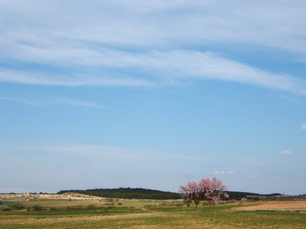 Foto: paisajes - Peñaflor De Gallego (Zaragoza), España