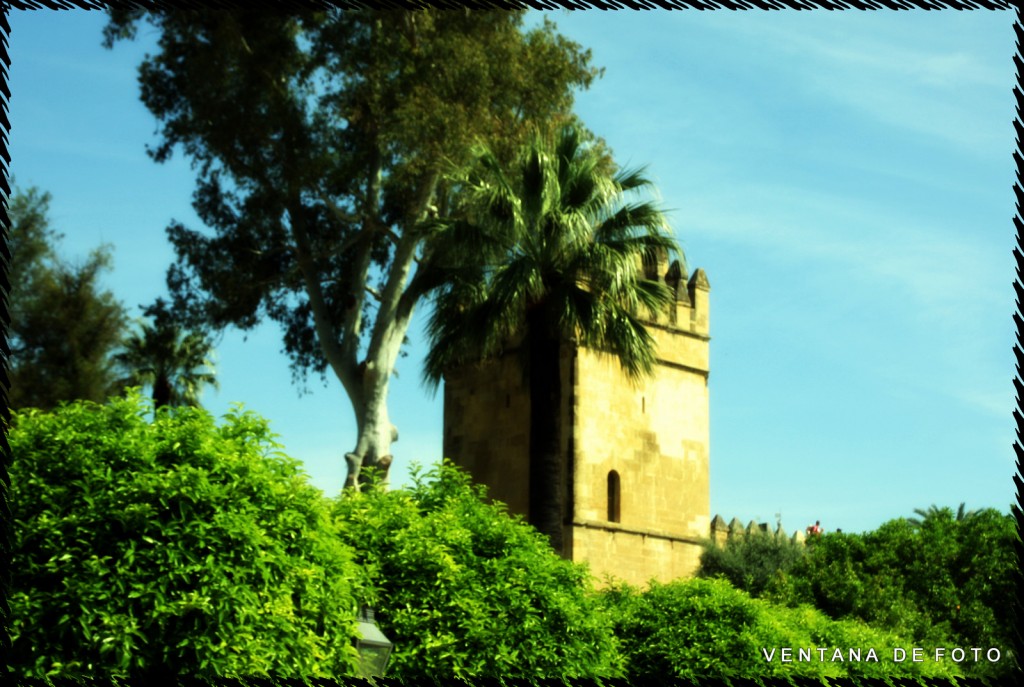 Foto: ALCAZAR DE LOS REYES CRISTIANOS - Córdoba (Andalucía), España