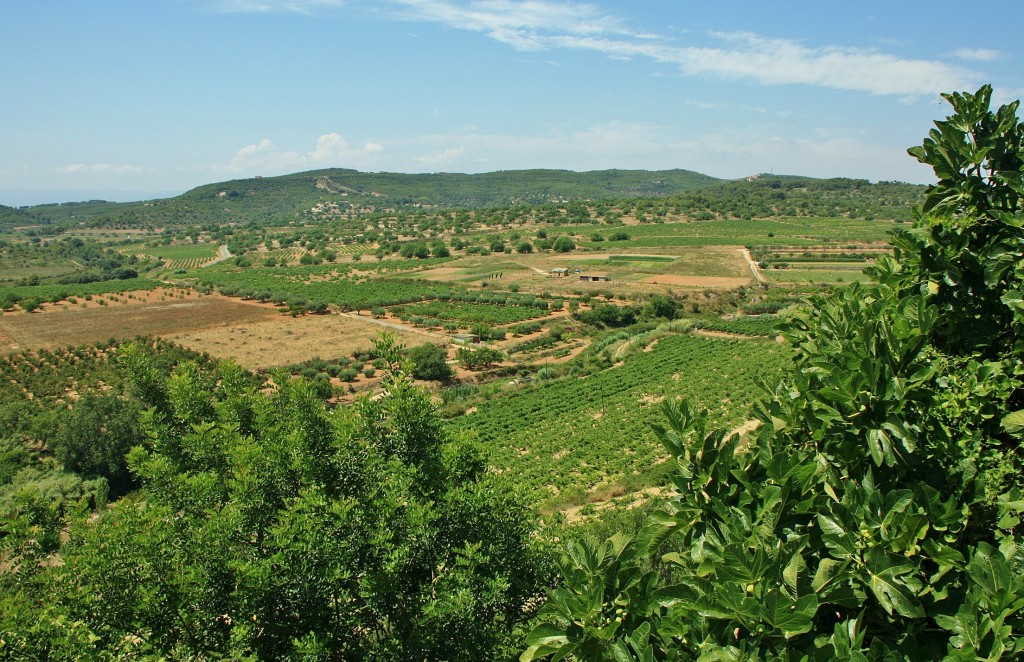 Foto: Vistas desde el pueblo - La Nou de Gaià (Tarragona), España