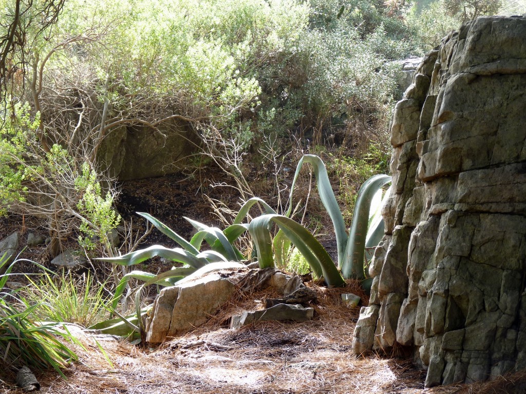 Foto de Sierra de los Padres (Buenos Aires), Argentina