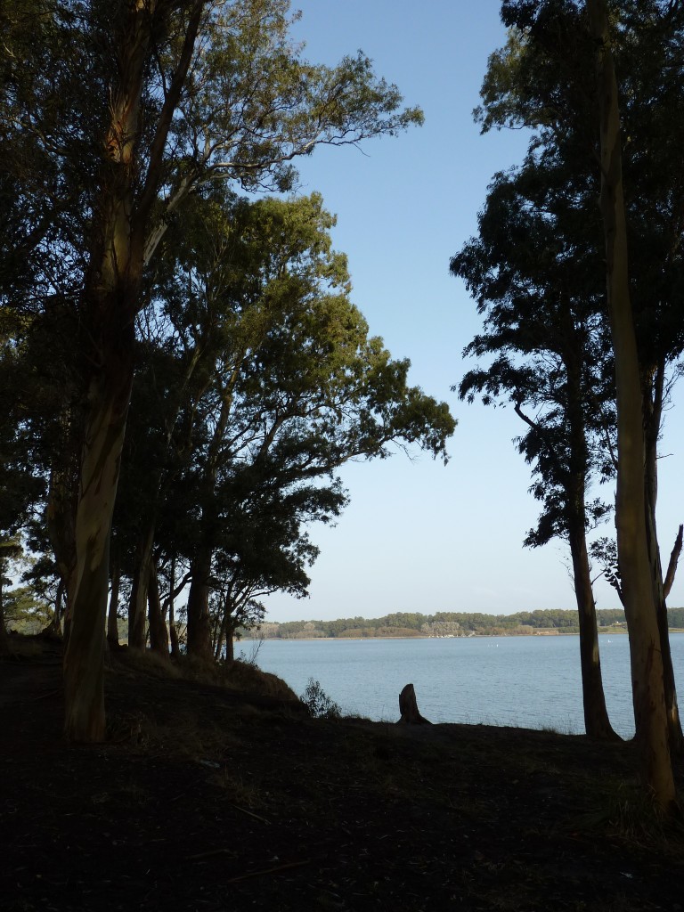 Foto de Laguna de los Padres (Buenos Aires), Argentina