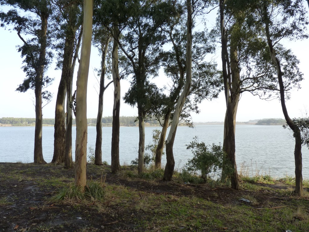 Foto de Laguna de los Padres (Buenos Aires), Argentina