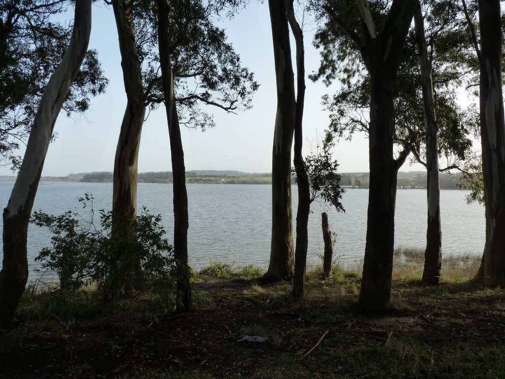 Foto de Laguna de los Padres (Buenos Aires), Argentina