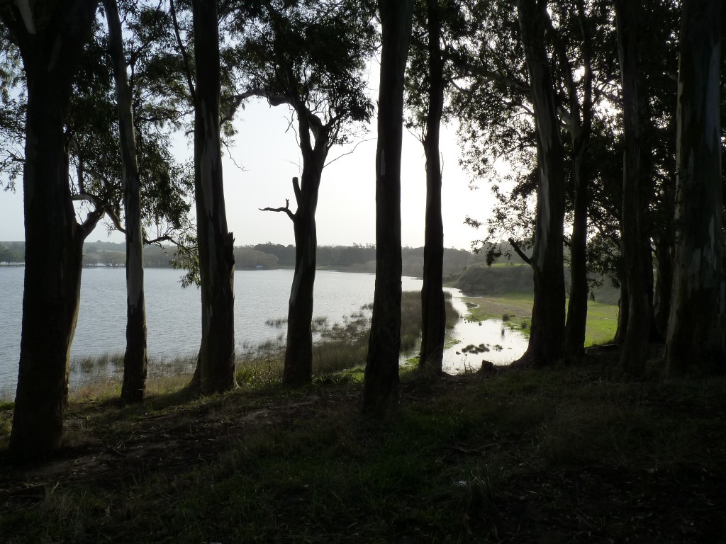 Foto de Laguna de los Padres (Buenos Aires), Argentina