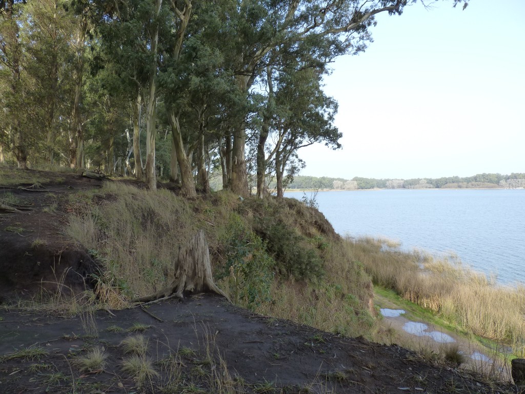 Foto de Laguna de los Padres (Buenos Aires), Argentina