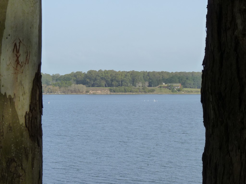 Foto de Laguna de los Padres (Buenos Aires), Argentina