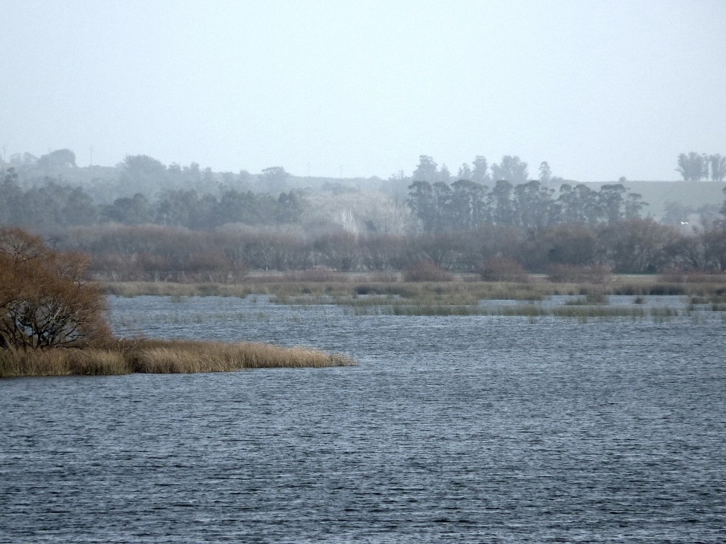 Foto de Laguna de los Padres (Buenos Aires), Argentina