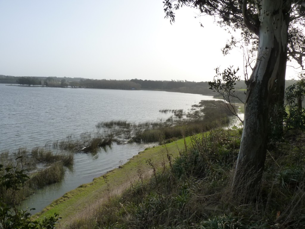 Foto de Laguna de los Padres (Buenos Aires), Argentina