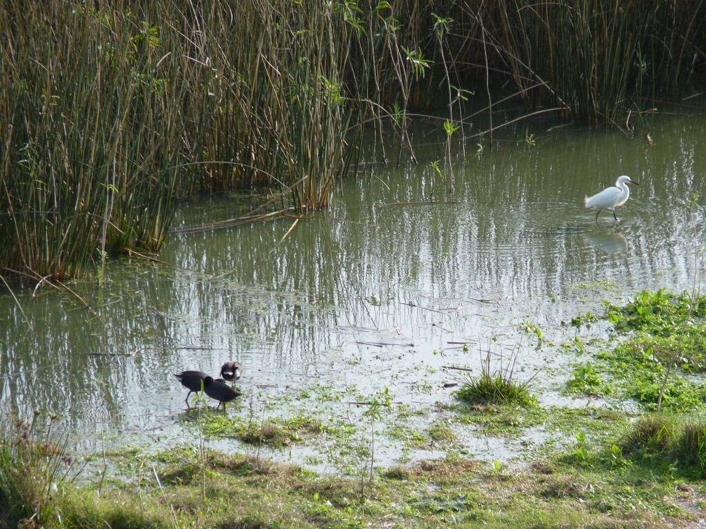 Foto de Laguna de los Padres (Buenos Aires), Argentina