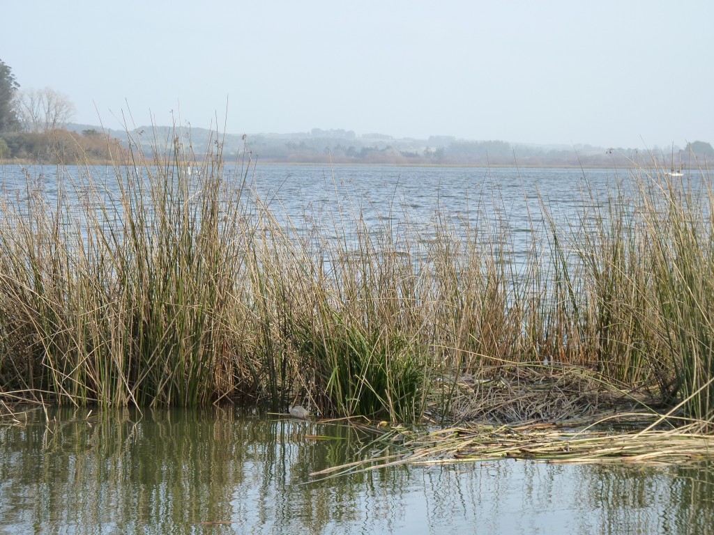 Foto de Laguna de los Padres (Buenos Aires), Argentina