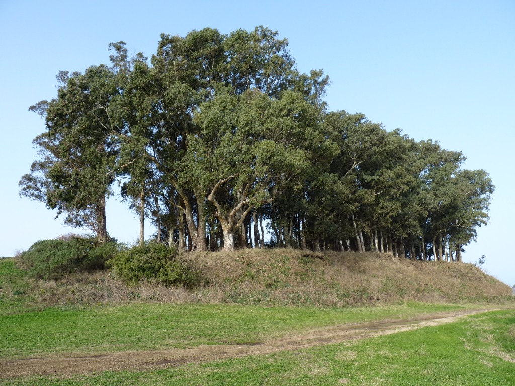 Foto de Laguna de los Padres (Buenos Aires), Argentina