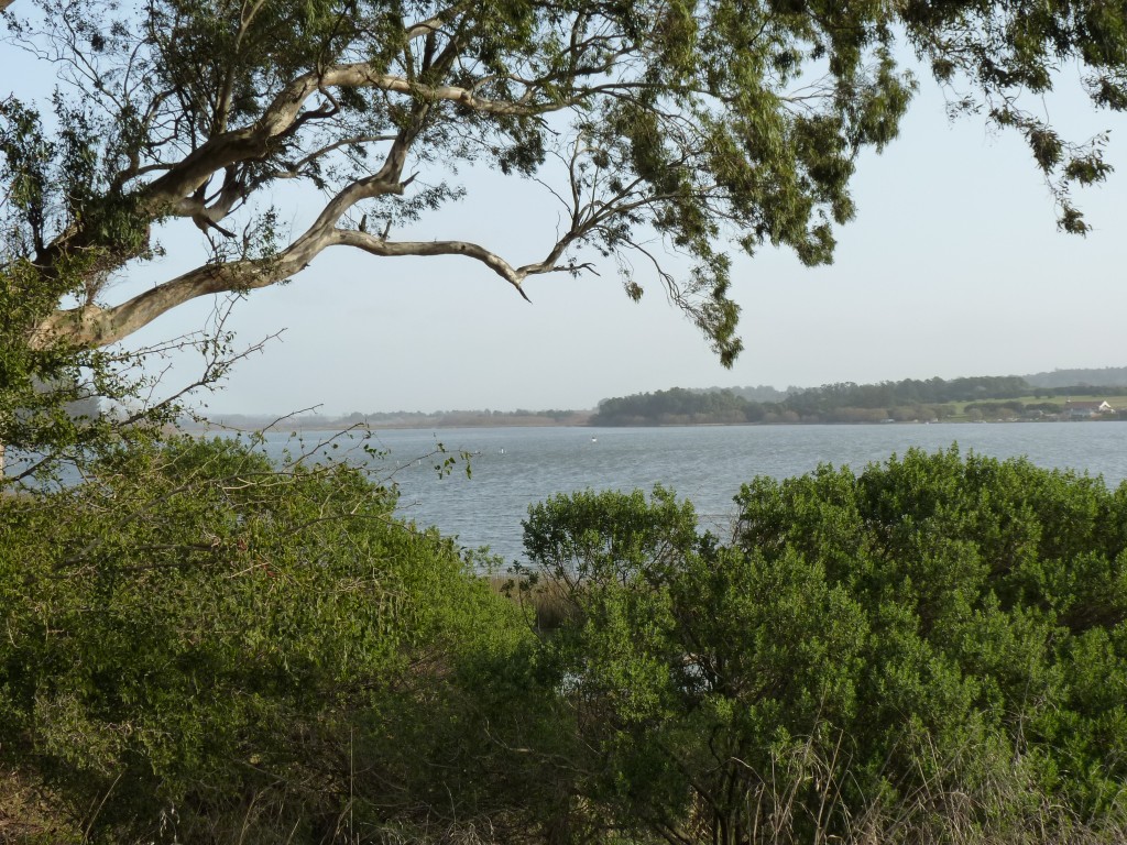 Foto de Laguna de los Padres (Buenos Aires), Argentina