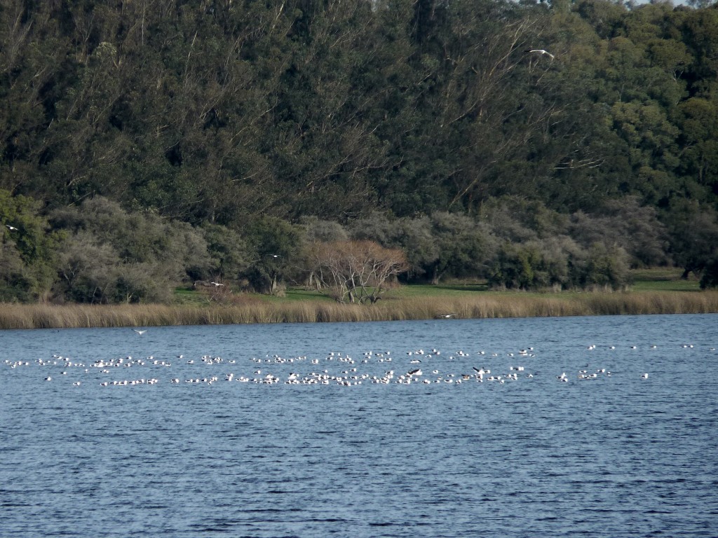 Foto de Laguna de los Padres (Buenos Aires), Argentina