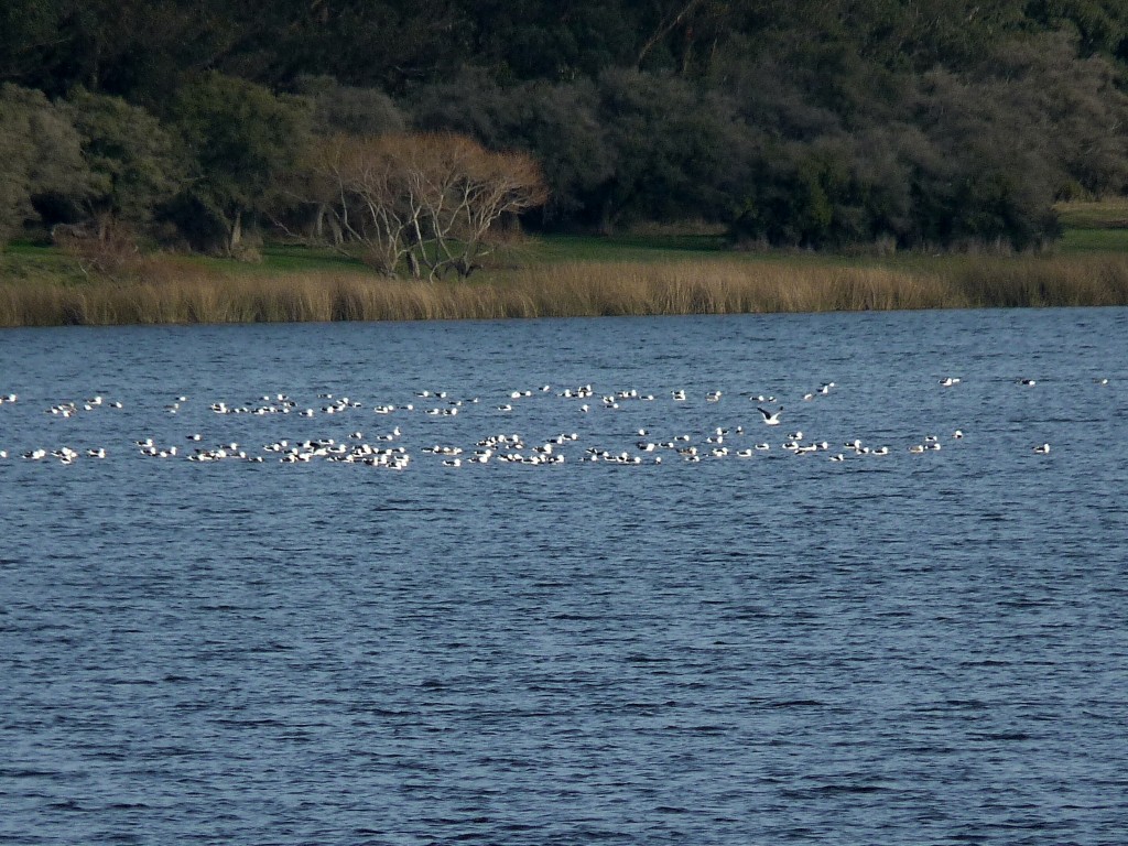 Foto de Laguna de los Padres (Buenos Aires), Argentina