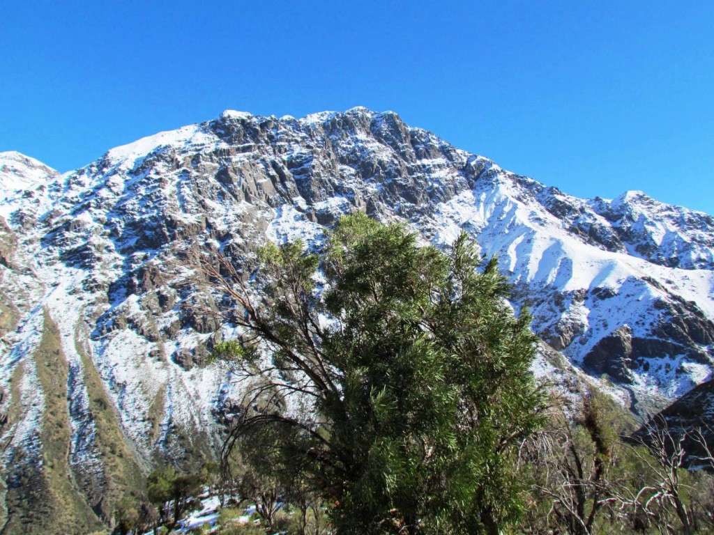 Foto de Las Melosas (Región Metropolitana), Chile