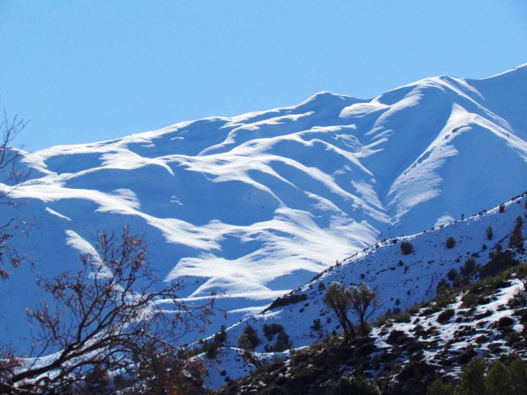 Foto de Las Melosas (Región Metropolitana), Chile